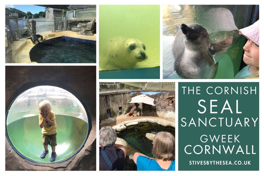 Cornish Seal Sanctuary Gweek Cornwall