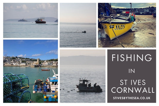 Fishing St Ives Cornwall