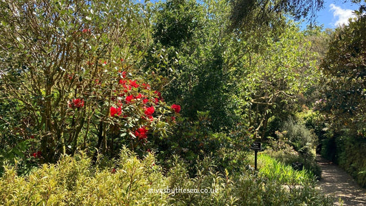 Trengwainton Gardens Penzance Cornwall