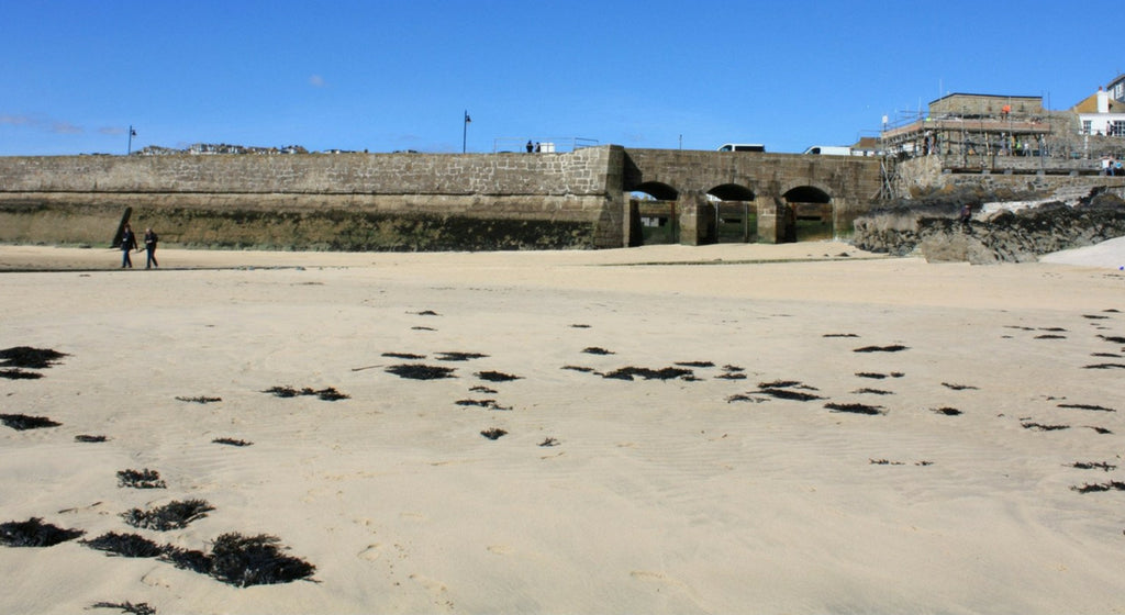 Breakwater Beach St Ives Cornwall - A Dog Friendly Beach