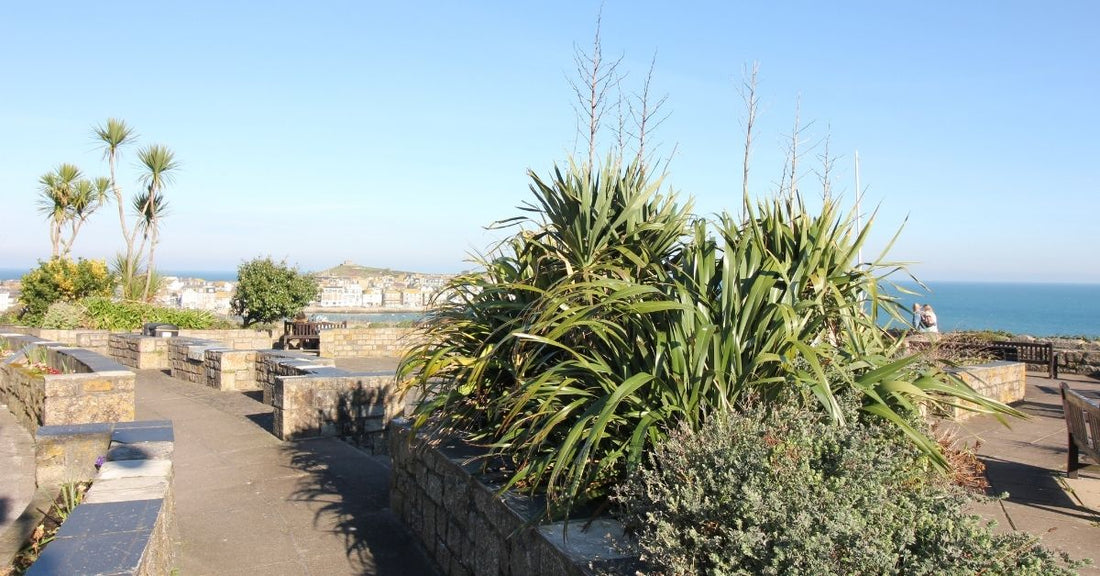 Malakoff Garden St Ives Cornwall