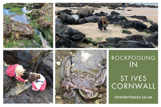 Rockpooling St Ives Cornwall