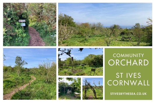 St Ives Community Orchard Cornwall