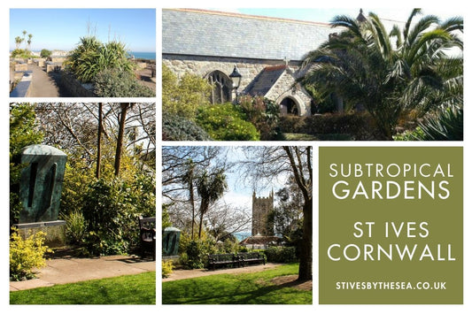 Subtropical Gardens St Ives Cornwall