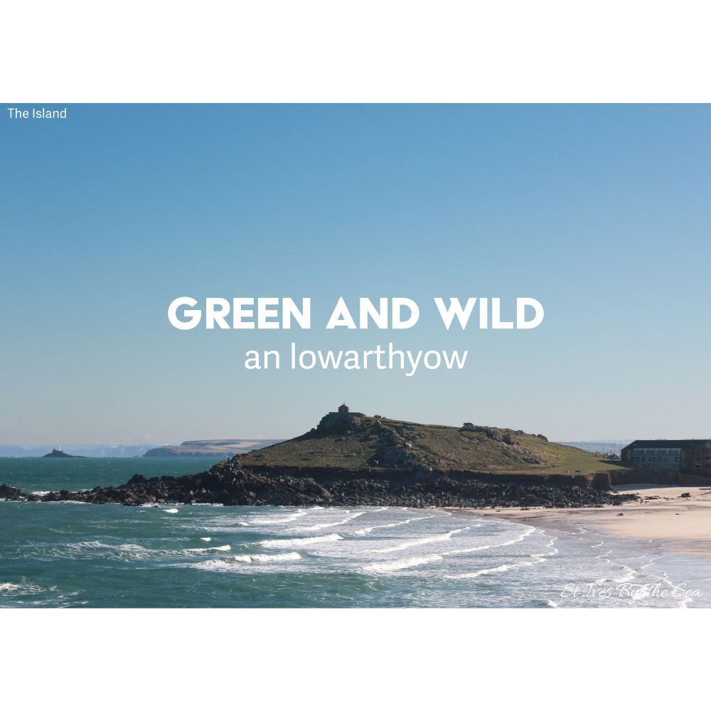 A Curiously Interesting and Helpful Guide To St Ives Cornwall Green and Wild